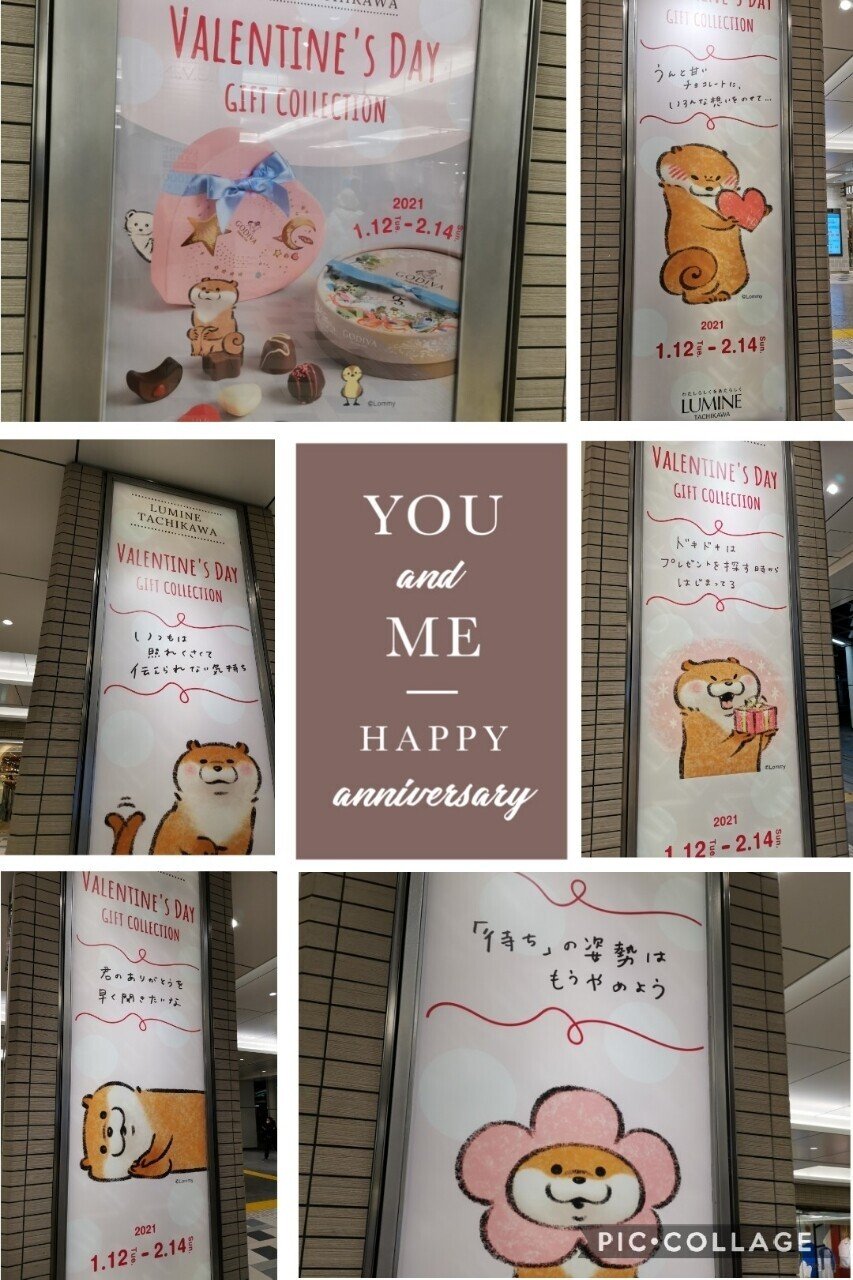 可愛い嘘のカワウソ限定 Mipoka Life Style Note