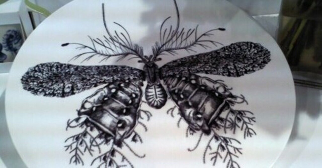 恐怖の余りハマってしまったホラーの世界 ハザカイユウ Note 恐怖の余りハマってしまったホラーの世界 ハザカイユウ Note