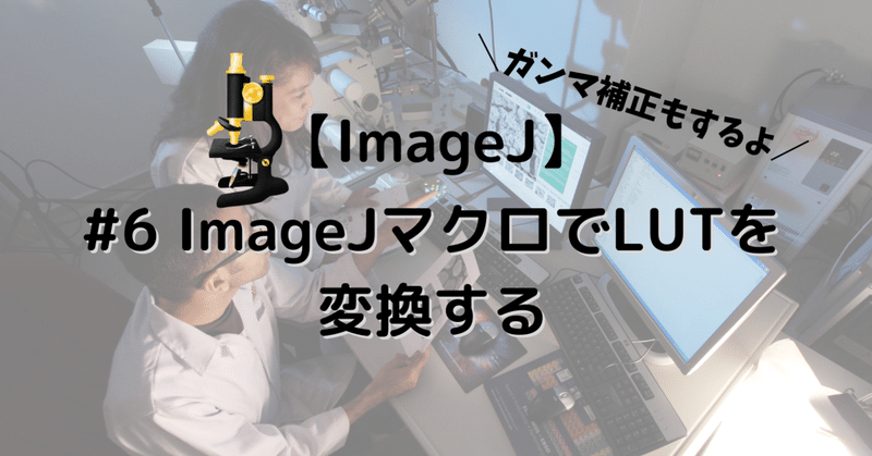 【ImageJ】ImageJマクロでLUTを変換する