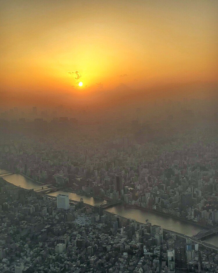 スカイツリーからの昨日の夕暮時のトーキョー風景。

春みたく霞みがかかった幻想的な世界。
でも動く車や人々はパン屑か蚤みたいに小さくて何もリアルに感じられなくて。
ワタシはこーゆーとこから世界を見る時いつも極度に孤独な気分に陥ってしまうのでした。

生まれてくる前いつもこんな風景を観ていたんだろか？

そんなこと考えたりしてね。
「さぁ降りよ！さぁ蚤になろ♪」
と、そそくさとエスカレーターに向かったのでした。

#moritaMiW #スカイツリー #東京風景 #love #夕焼け #佳い一日の終わり