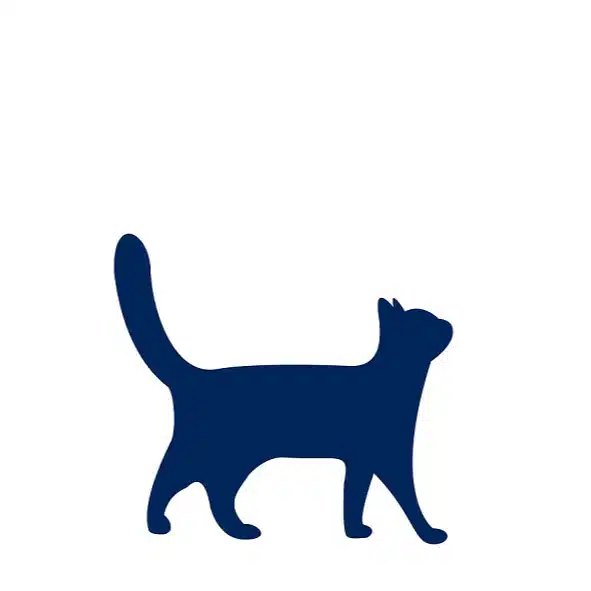 おさんぽ猫