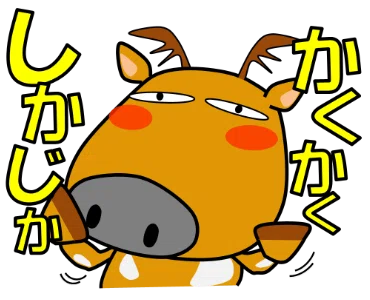 画像8
