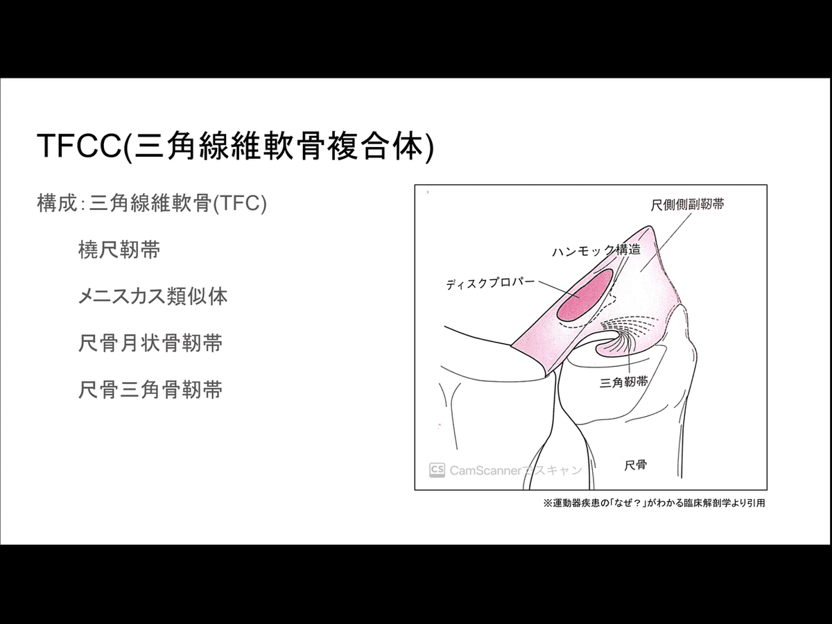 TFCCの解剖学｜岩瀬勝覚
