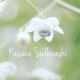 Kasane Sodenashi