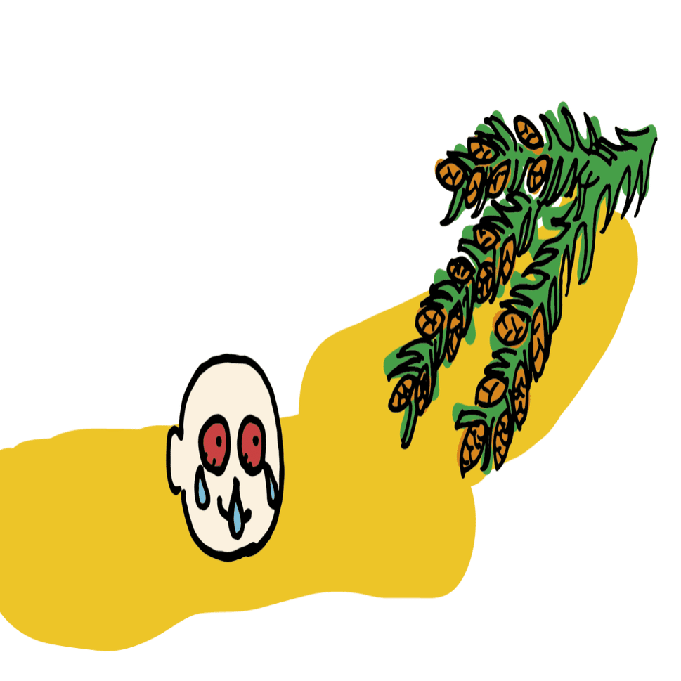 鼻がムズムズ けれど花粉は面白い 浜松科学館 みらいーら