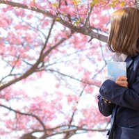 共通テスト古文 21 全訳 栄花物語 大北の方も 解釈 和歌など 現役ライターの古典授業 資料 Bran Co渡辺 Note 共通テスト古文 21 全訳 栄花物語 大北の方も 解釈 和歌など 現役ライターの古典授業 資料 Bran Co渡辺 Note