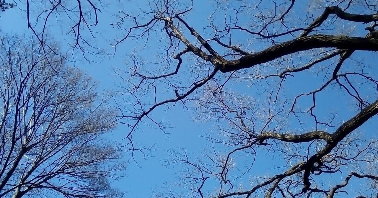 17 人によって合う合わないがあるから一概に良い悪いは言えないって話と いらすとや スゲェ て話 もにゃ Note 17 人によって合う合わないがあるから一概に良い悪いは言えないって話と いらすとや スゲェ て話 もにゃ Note