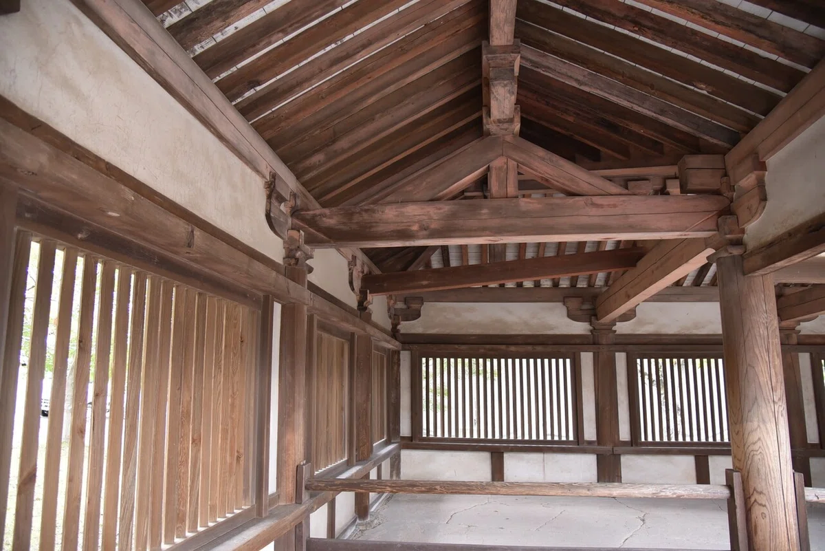 画像5