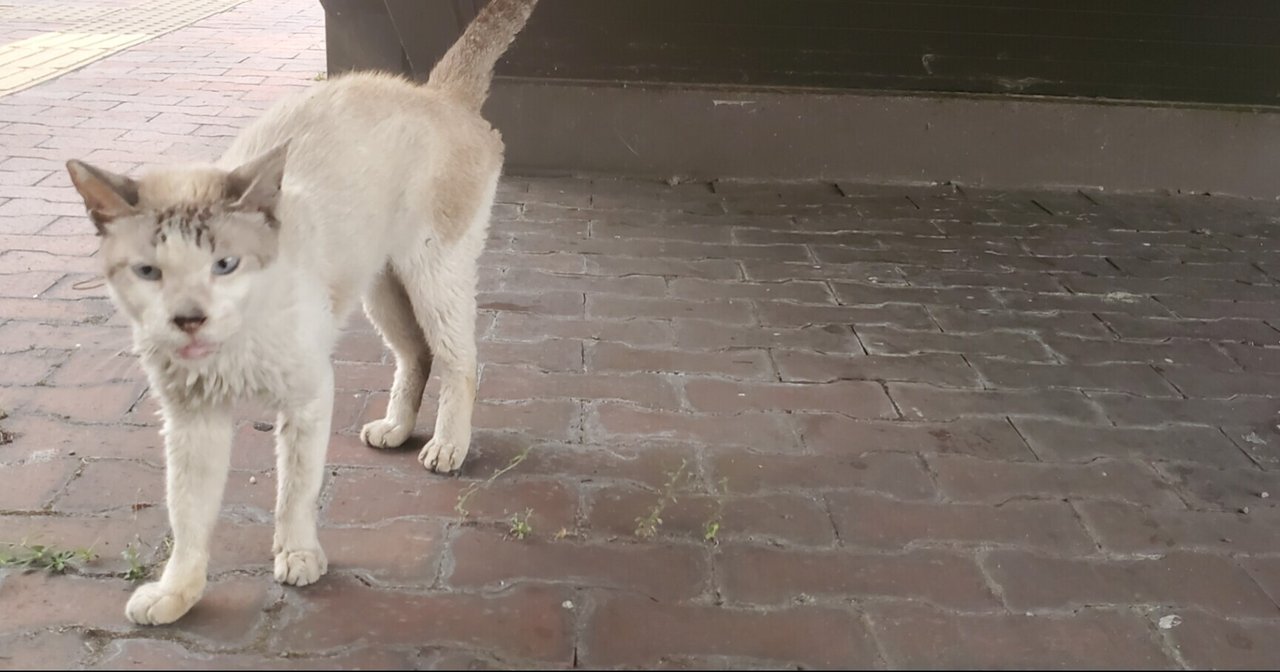 病みポエム の新着タグ記事一覧 Note つくる つながる とどける