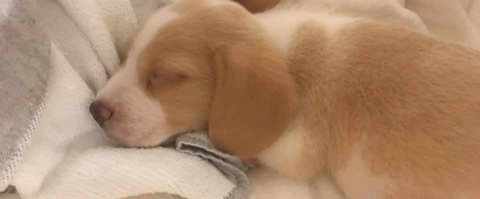 写真を撮ること おしゃべりすること 古賀史健 Note