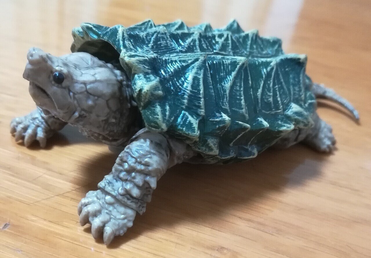 ワニガメかわいい ガチャガチャ 紅凪 Note