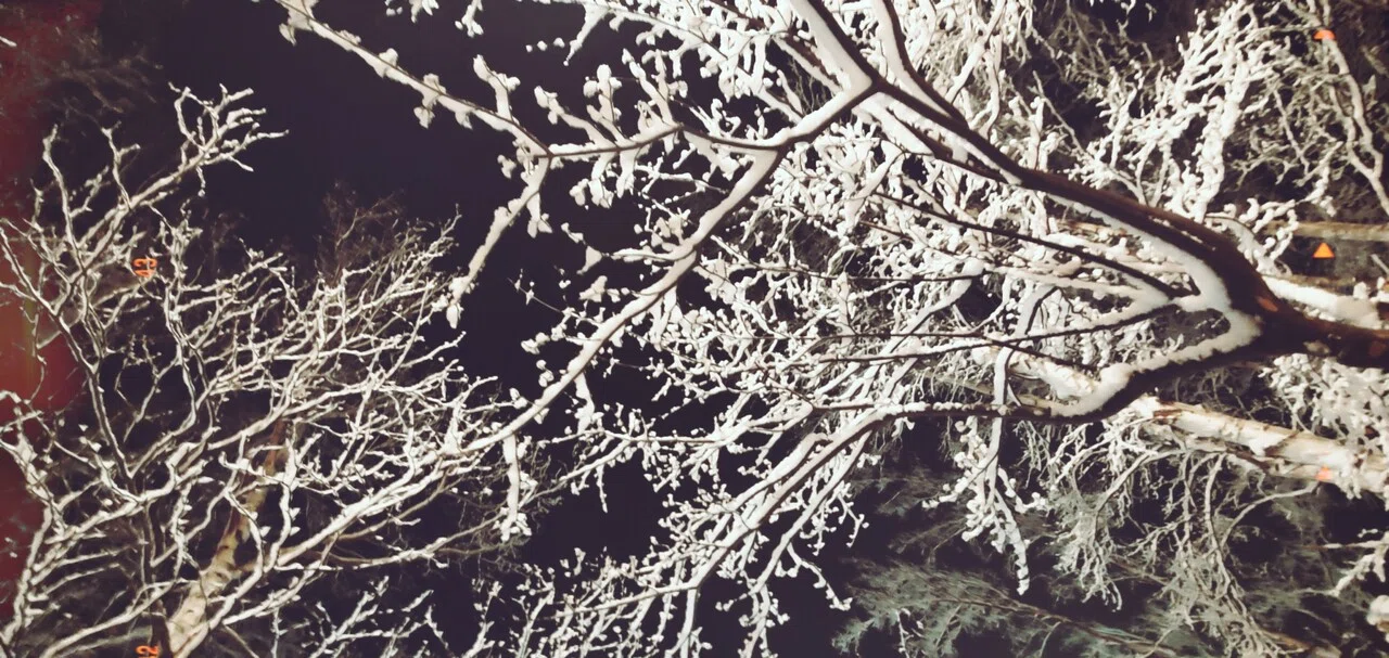 冬はあんまり好きじゃないけど 夜の雪景色は雰囲気があって好き Miya Note