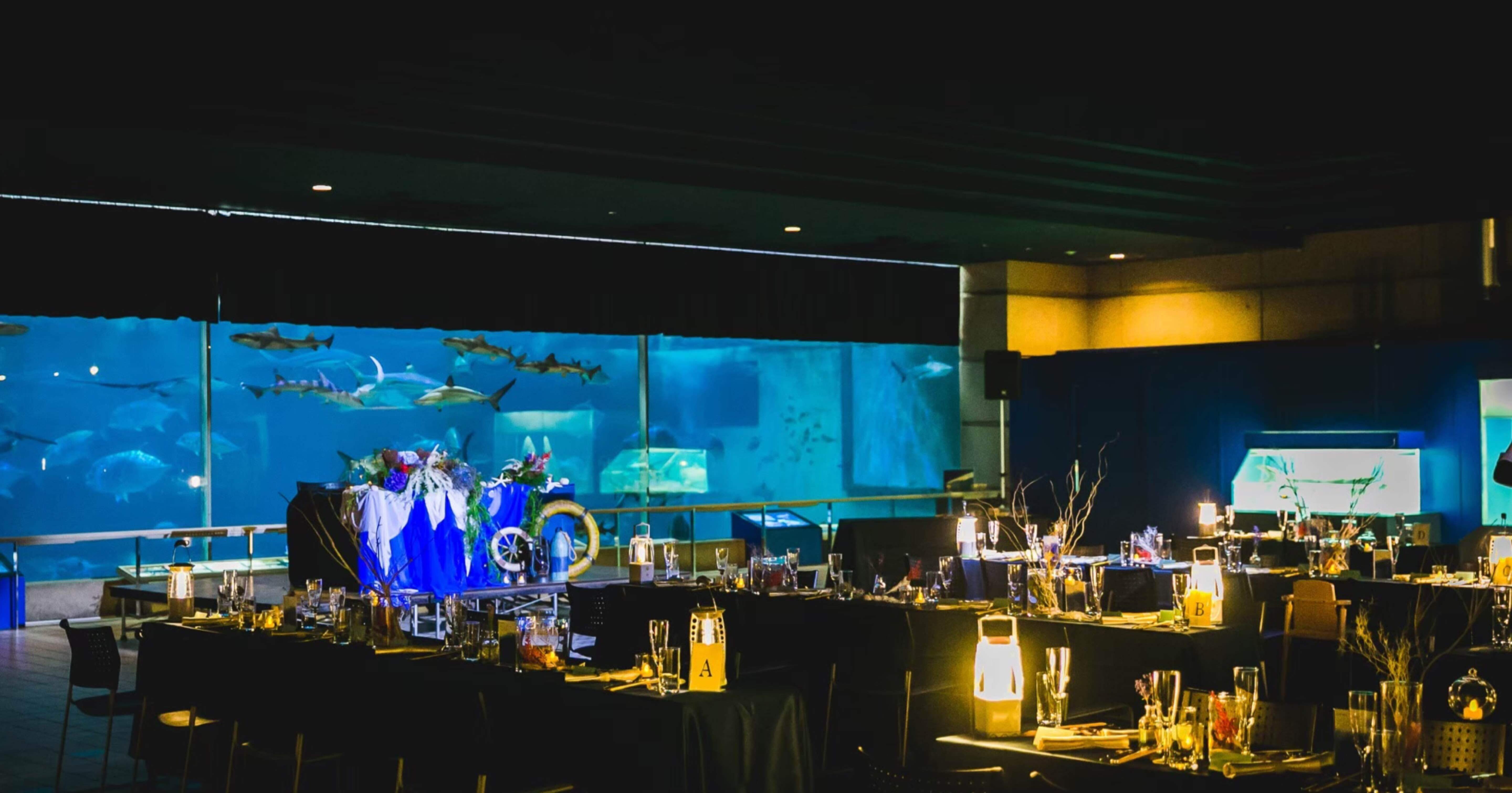 水族館で結婚式した話 事前準備編 和彦 Note