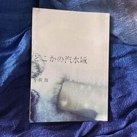 Naminoyukusaki 波のゆくさき The Ricecookers 小萩うみ 海 Note