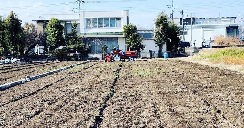 2億年前の化石 などいちじく畑のミネラル 世界のいちじく育てよう まるはち果実園 Note 2億年前の化石 などいちじく畑のミネラル 世界のいちじく育てよう まるはち果実園 Note