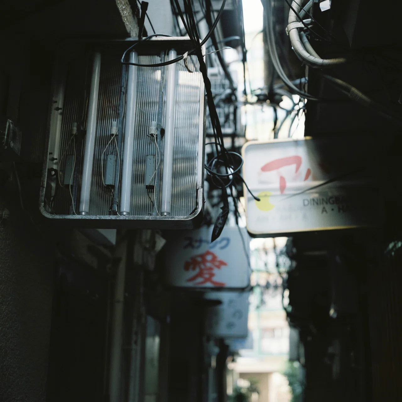 Rolleiflex 2.8D - フィルムカメラレビューその3｜Hisa Foto