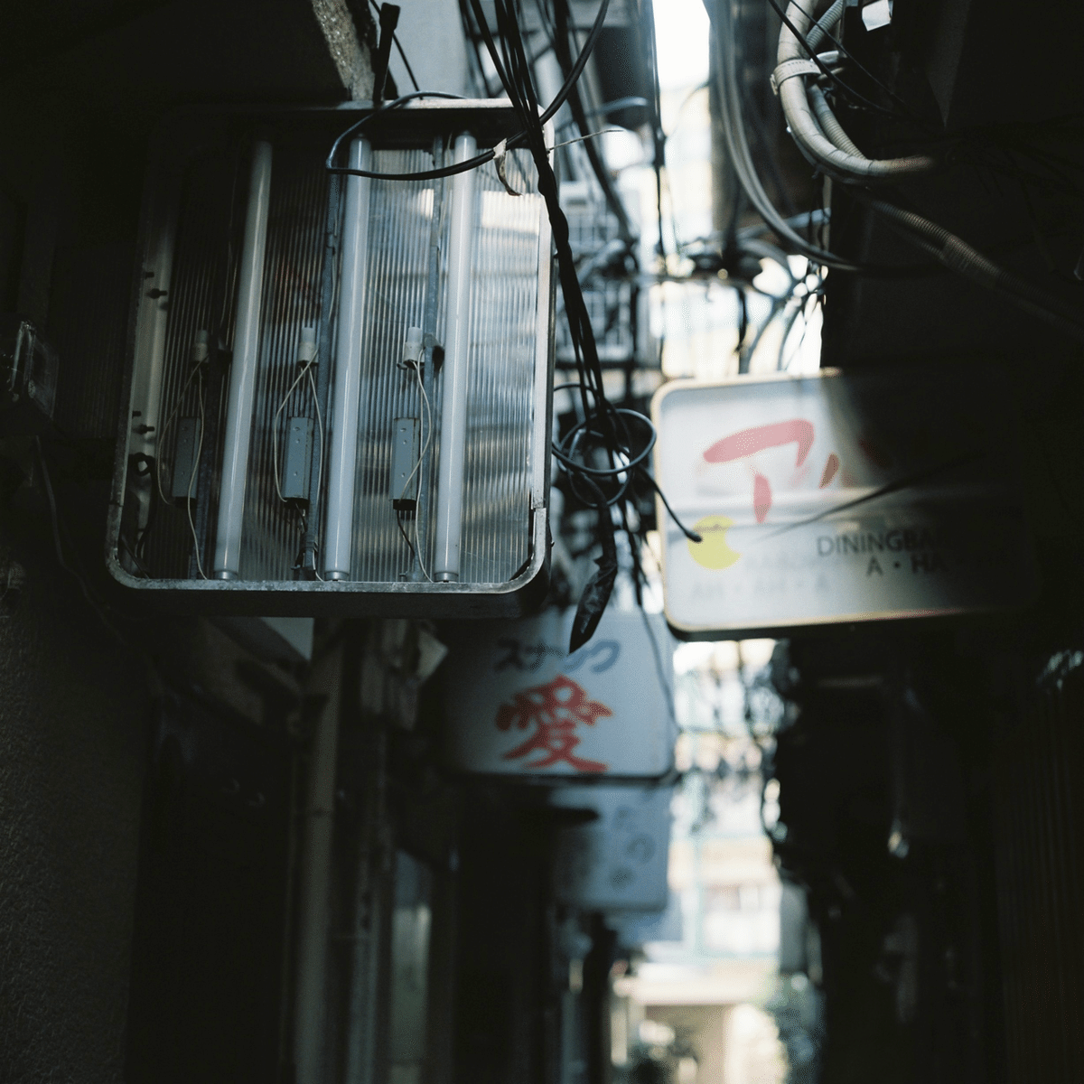 ローライフレックス　T(作例あり) 二眼レフカメラ Rollie Flex T｜歩きまわる写真館・ひらい