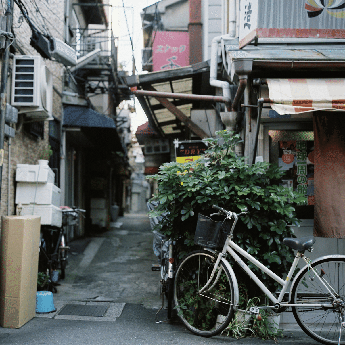 Rolleiflex 2.8D - フィルムカメラレビューその3｜Hisa Foto