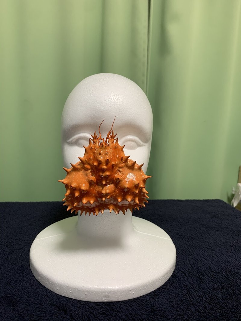 これが蟹のマウスシールドですか 作り方あり 香り箱 まりん Note