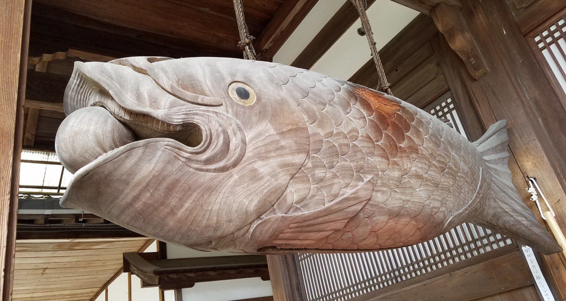 希少品魚鼓 魚板 仏具 古民具 時代物茶道 茶事懐石の鳴り物 禅院骨董 鯱