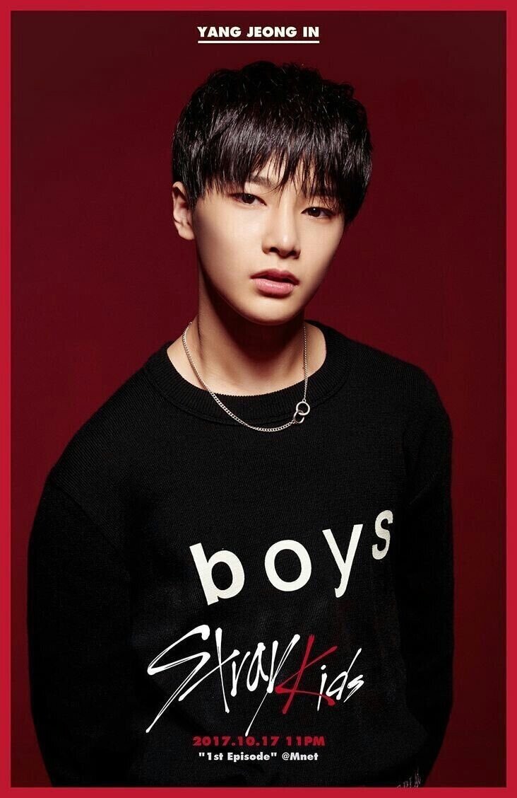 新規STAYのサバイバル感想。#skz.2｜えふ（百瀬）