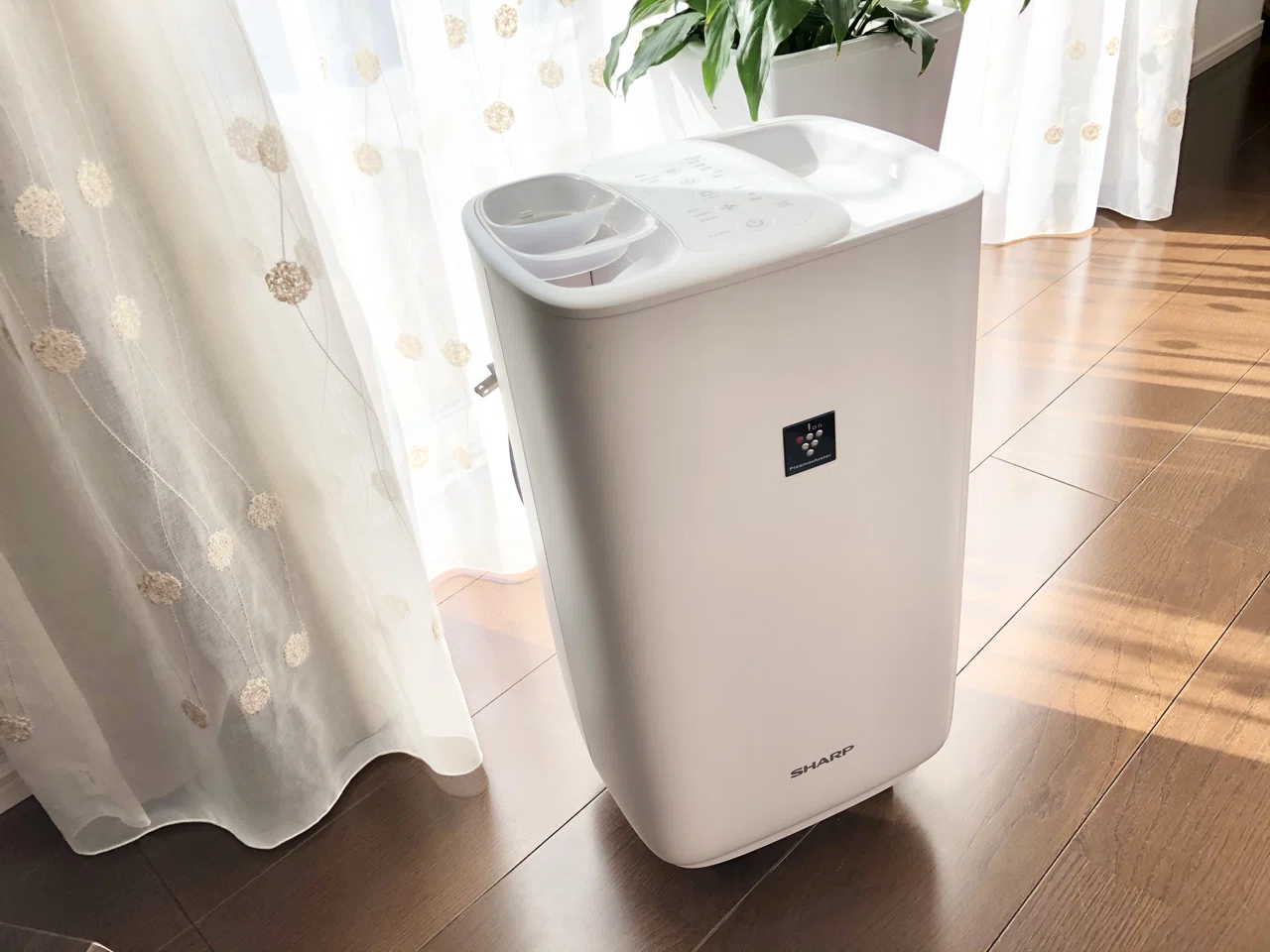SHARP 加熱気化式加湿器 HV-H55-W お掃除｜丸洗いでOK！ハイブリッド