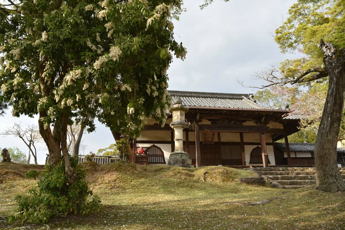 画像71