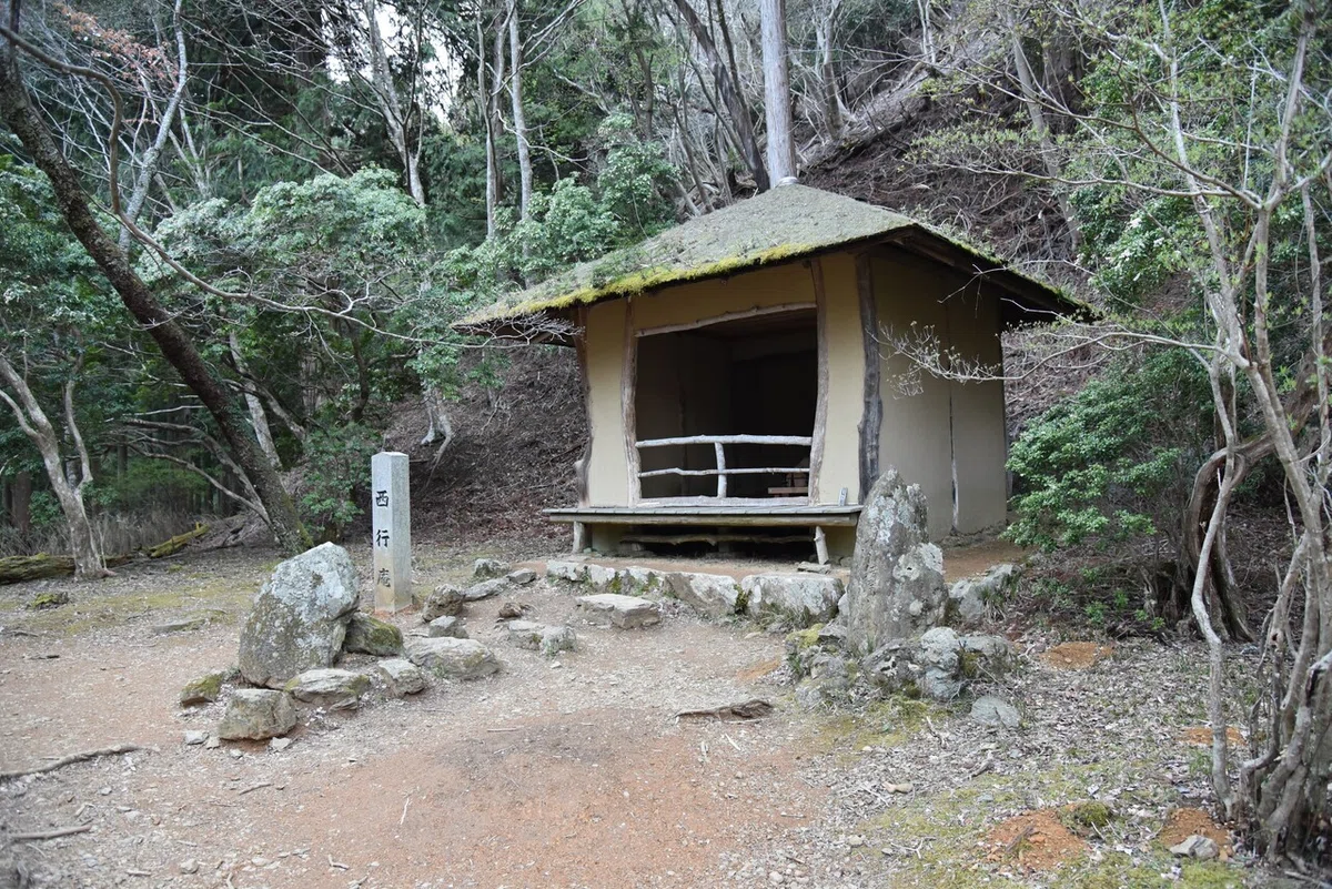画像11