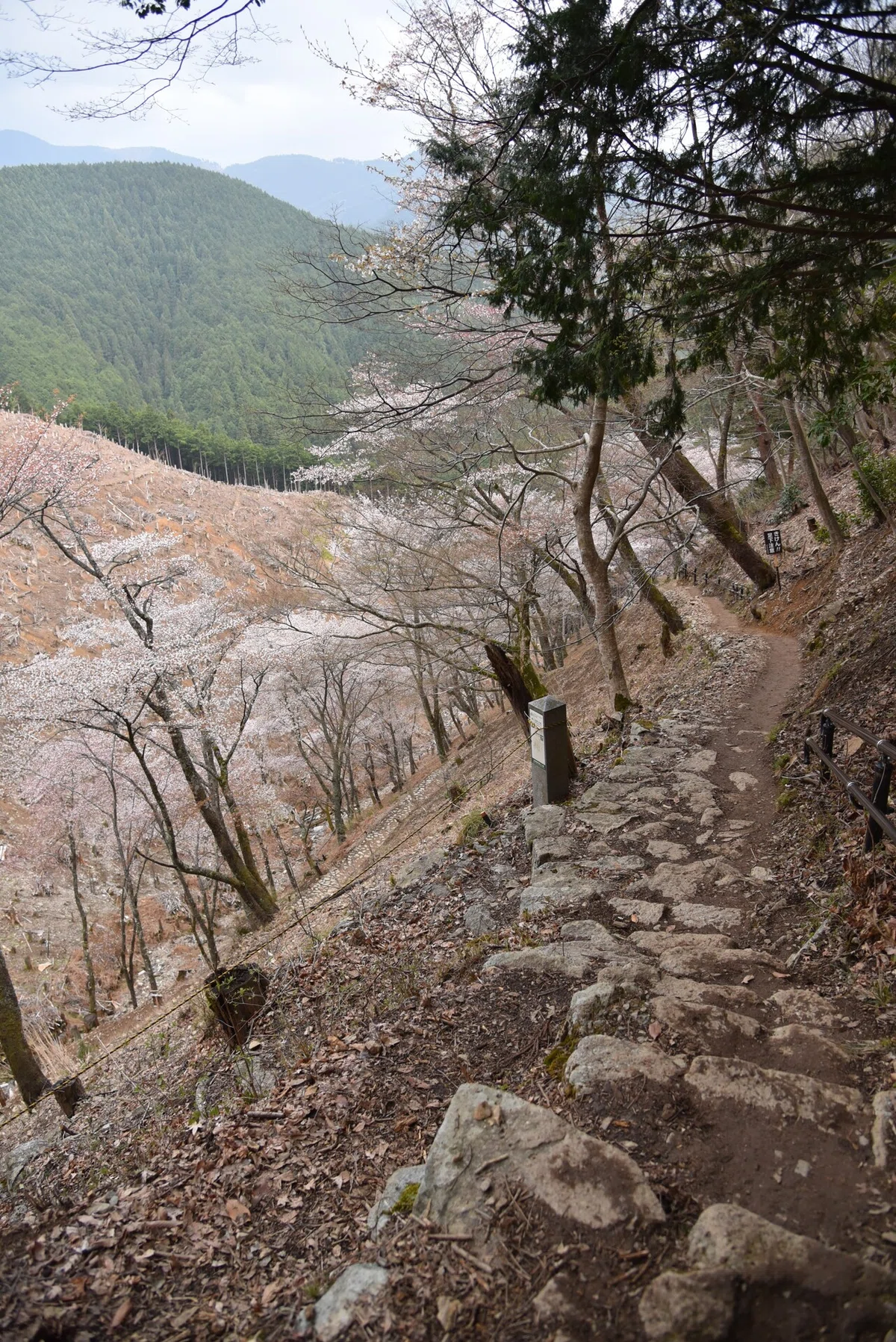 画像72