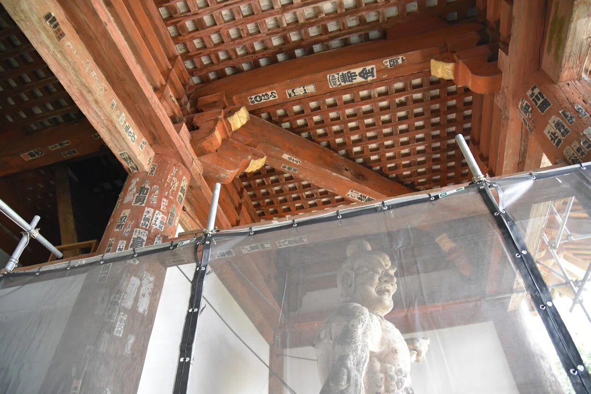 画像15