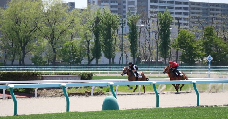 ジョッキーのコース適性 本気の競馬力向上研究所 Note ジョッキーのコース適性 本気の競馬力向上研究所 Note