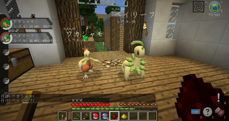 Pixelmon The F1rst Gym 2 Okaaano Note
