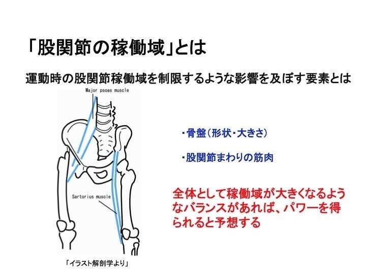 第十一回 股関節可動域と野球の才能について 21年1月18日 T Inohiza Note 第十一回 股関節可動域と野球の才能について 21年1月18日 T Inohiza Note