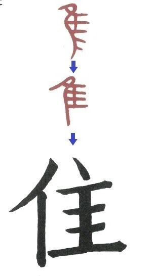画像31