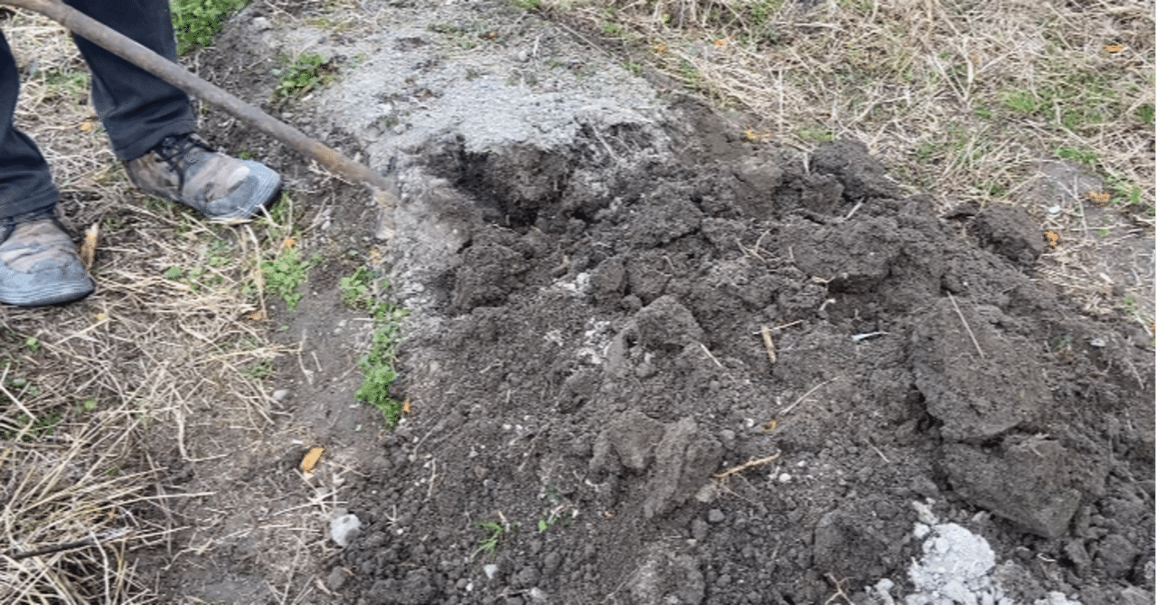 畑作り始めました 寒起こし とまたろう Note