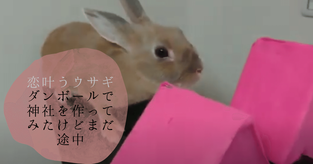 恋叶うウサギ ダンボールで神社を作ってみたけどまだ途中 背文字で スキ と伝えたいウサギのポリアンナ 心に響いた言葉だけ贈りたい 音卯風矢 Note 恋叶うウサギ ダンボールで神社を作ってみたけどまだ途中 背文字で スキ と伝えたいウサギのポリアンナ 心に響いた言葉だけ贈りたい 音卯風矢 Note