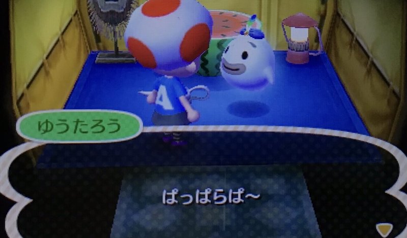 そっ閉じのとび森開いたら Youmoビーグルベルちゃん Note