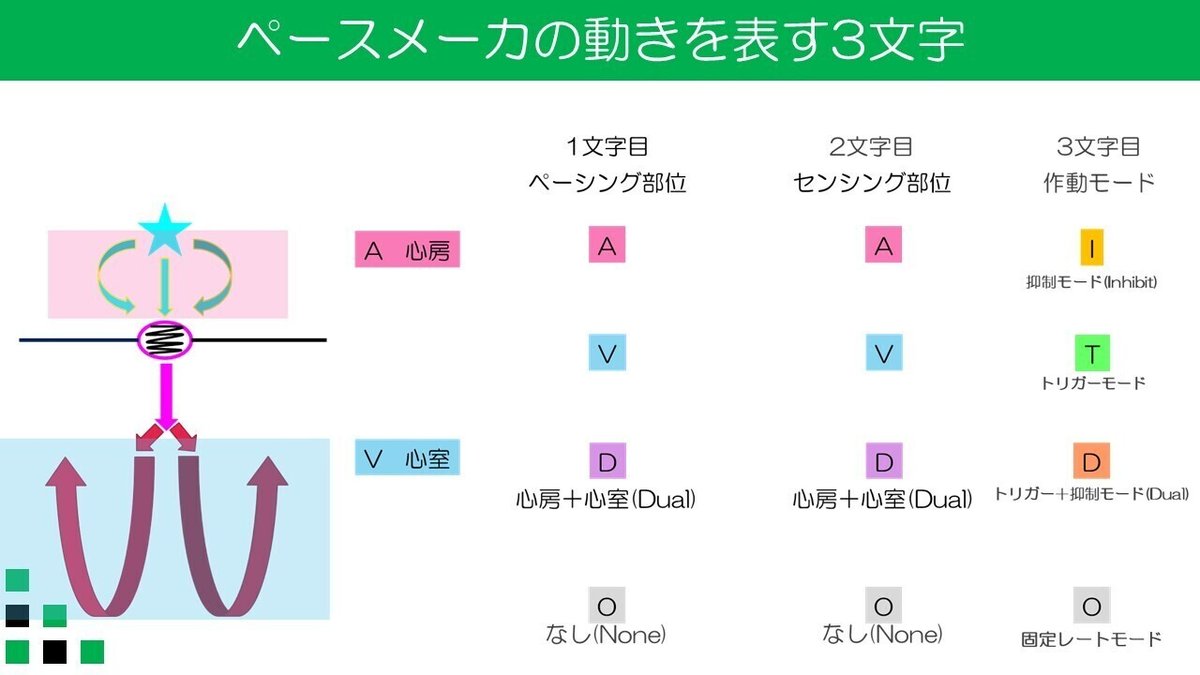 NBGコード