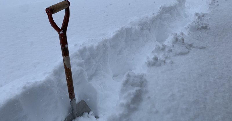 八甲田雪中行軍遭難事件 の新着タグ記事一覧 note つくる つながる とどける