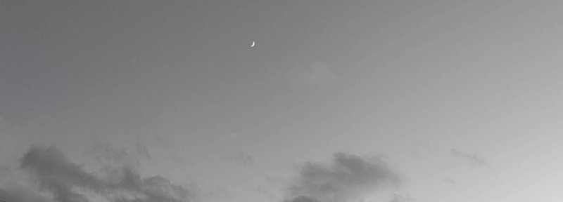 ナタリー インブルーリアの Torn トーン だったのかな と ゆらめいて 涼t Note