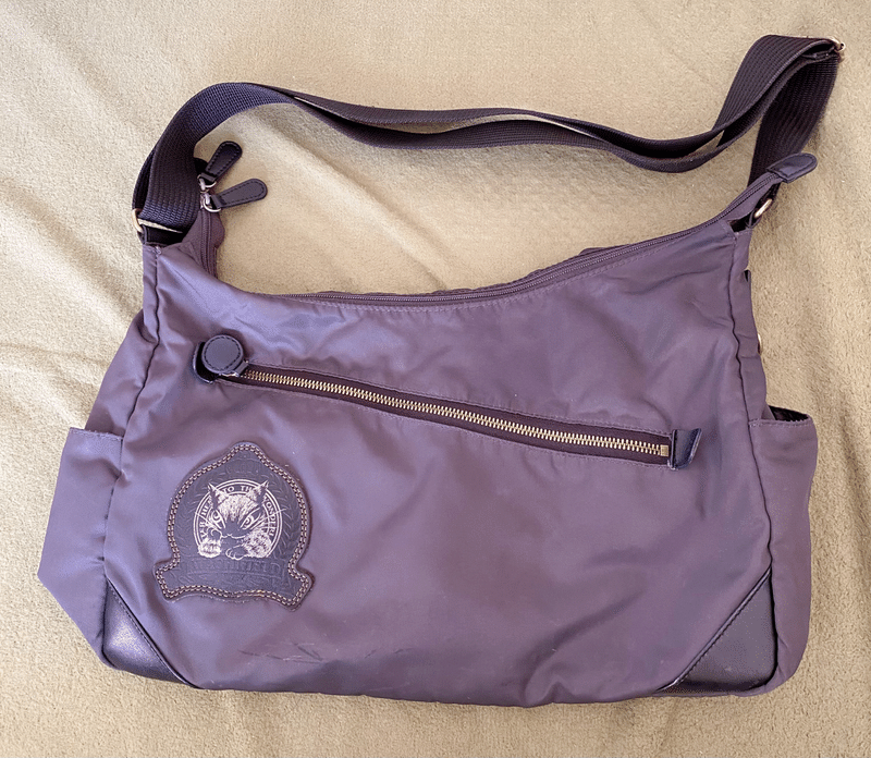 カバン底のポケットにicカードを入れて 改札を通ってみた ひおめい Note