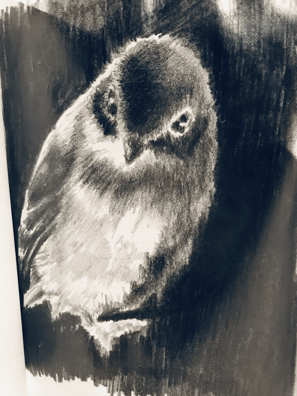 これは模写じゃない ストレスがたまると鉛筆を短くしたくなるらしい 水野夏 Note