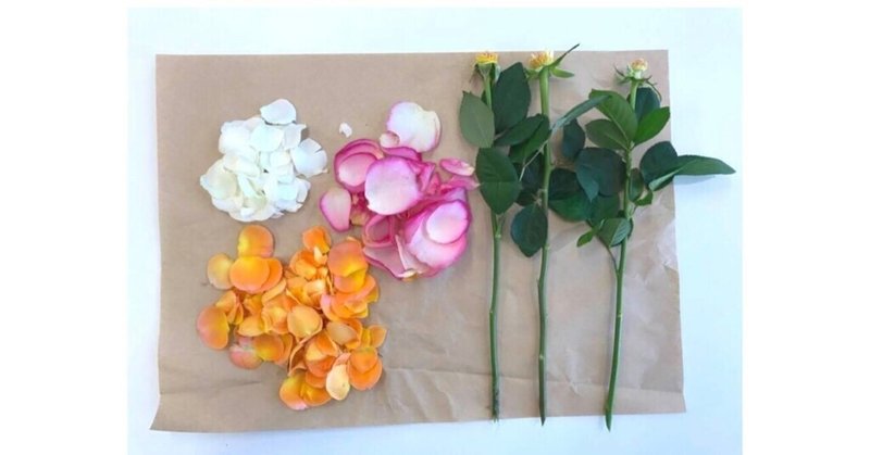 100年前の消防服やバラの花などを 分解 する 一言切り抜きfrom日経 177 一言切り抜きfrom日経 By 倉成英俊 100年前の消防服やバラの花などを 分解 する 一言切り抜きfrom日経 177 一言切り抜きfrom日経 By 倉成英俊