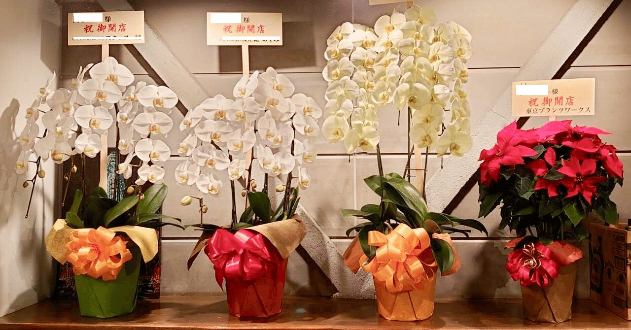 お花の話 胡蝶蘭はなぜ高い 加藤宏一朗 Koichiro Kato Note