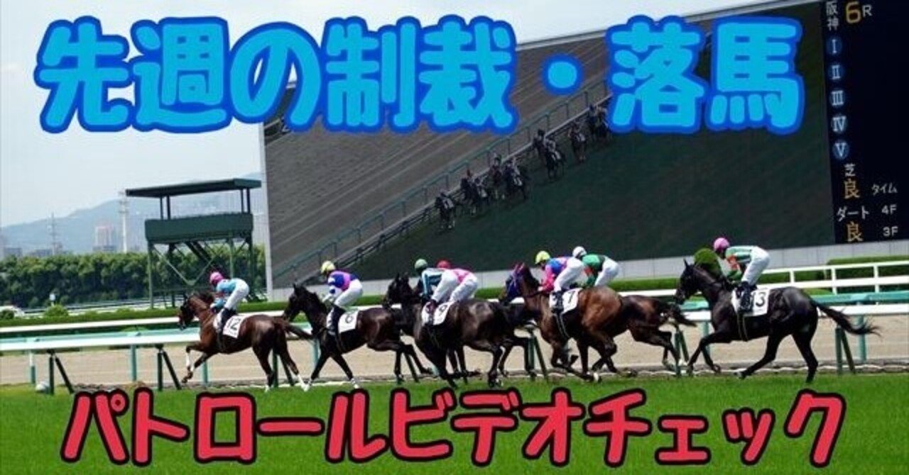 パトロールビデオチェック 1月17日開催分 Taka 単勝投資家 Note