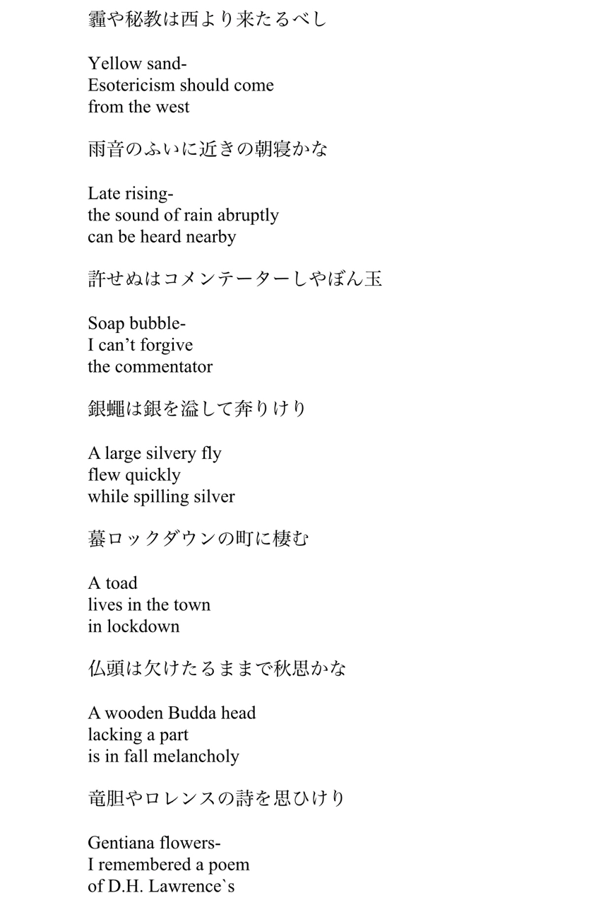 俳句10句を英訳 最後のエレクトゥス Note