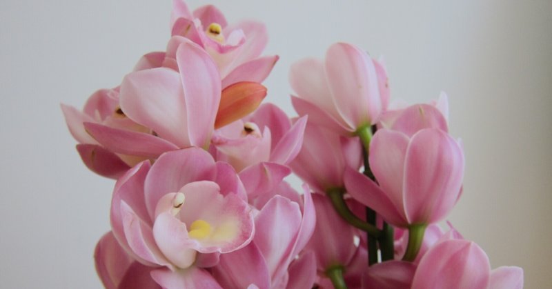 日常のひとこま 銀木犀 西新井大師 Note