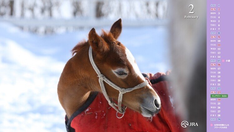 サイン競馬ブログ 斎藤司 サイン競馬の世界