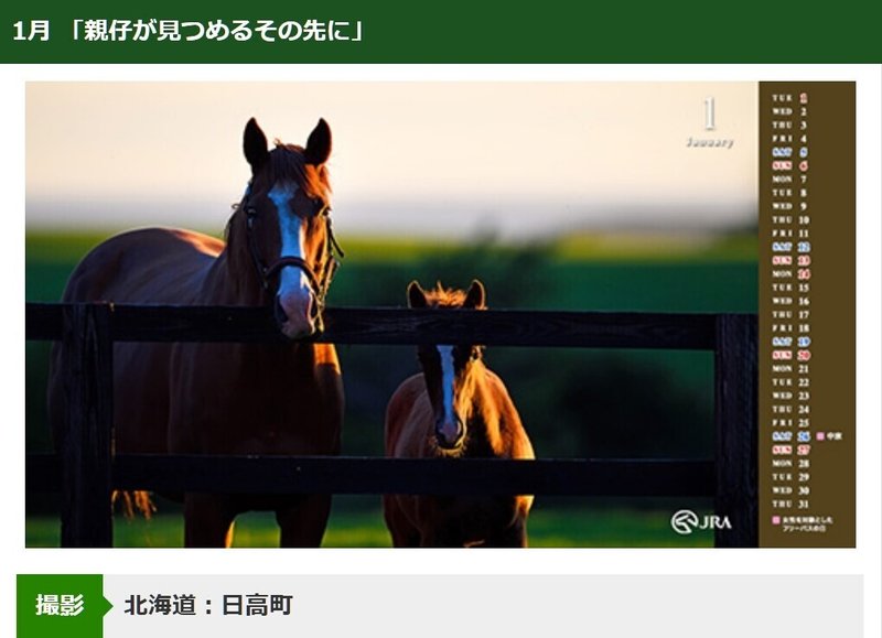 サイン競馬ブログ 斎藤司 サイン競馬の世界