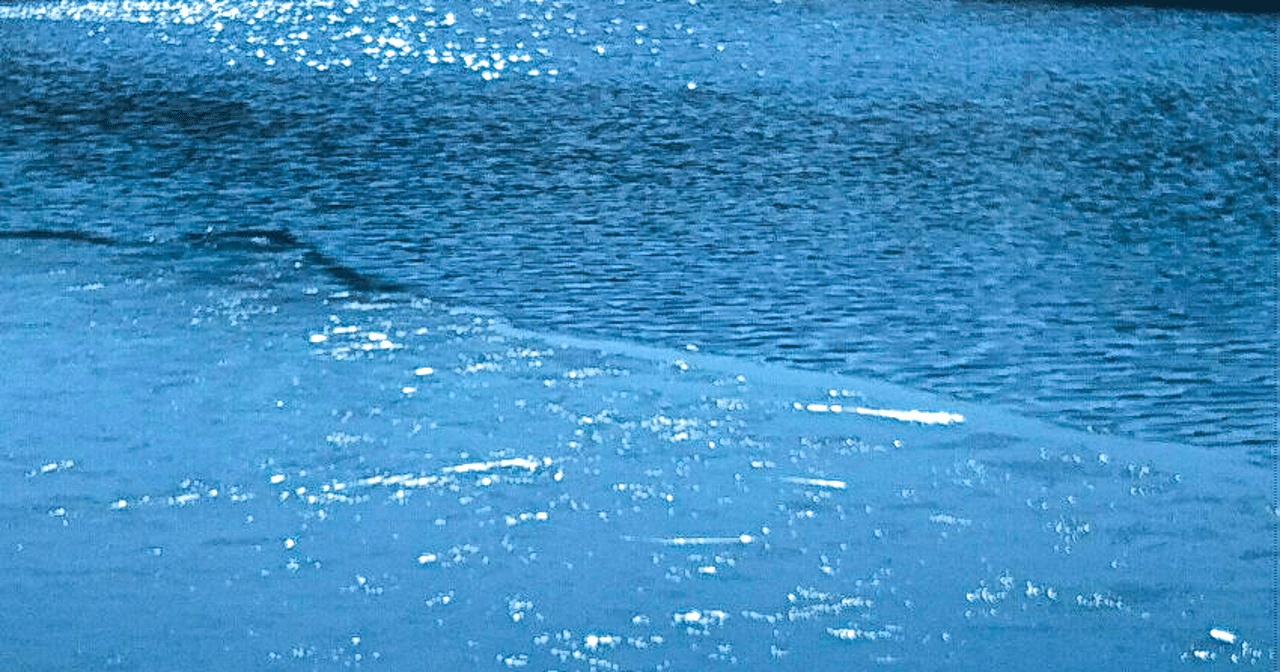 僕が好きなボカロp紹介 Nobeler Note